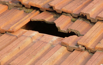 roof repair Chalmington, Dorset