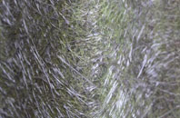 Chalmington fibreglass roof work